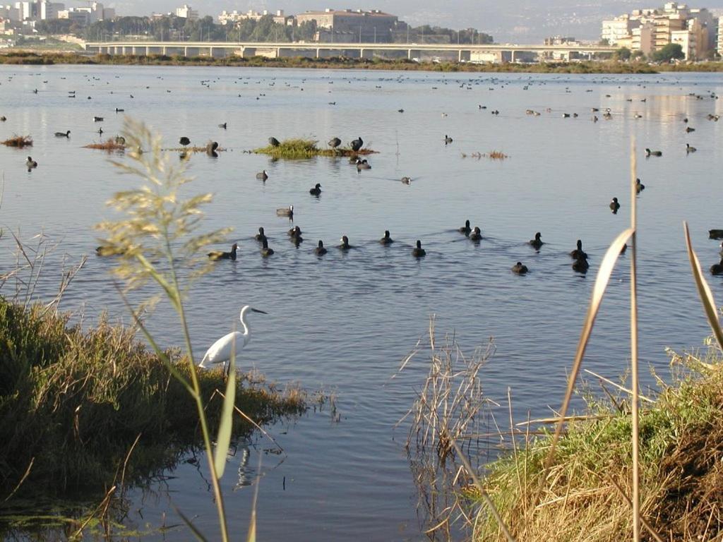 Mare Di La Finestra Sul Porto * Augusta